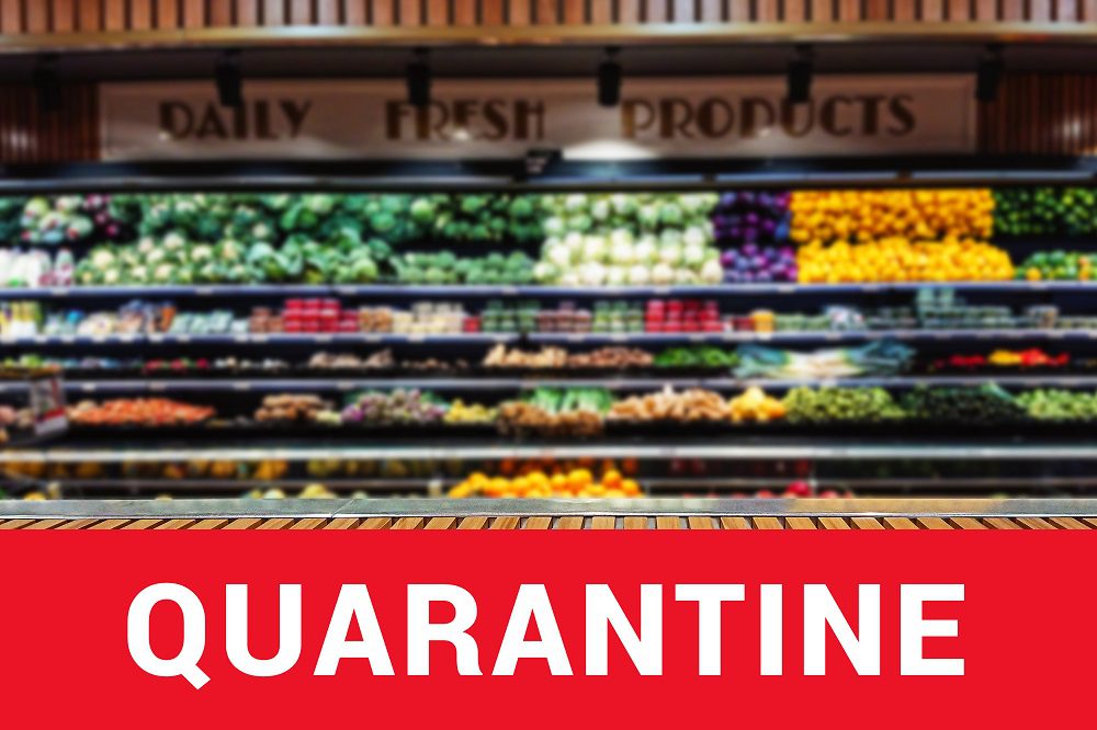Obtain Optimism from the Quarantine for your New Online Grocery Delivery Business with a Grocery Delivery App