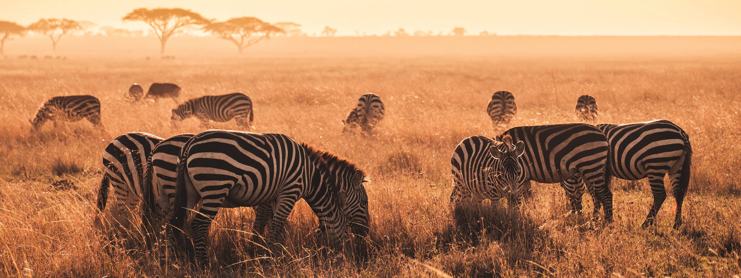 10 Keys To Making The Best Photo Safari In Tanzania
