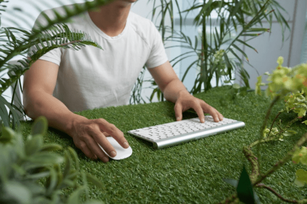5 Benefits of Having Green Environment in Office