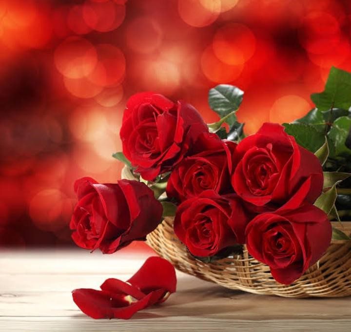 TOP 5 FLOWERS TO CONVEY YOUR WISHESH ON VALENTINES DAY