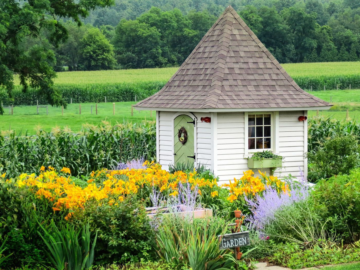 Garden Shed Ideas for Small Home Gardens
