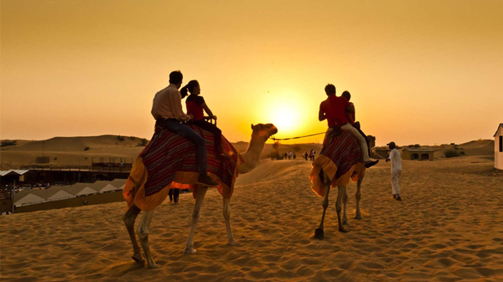Morning Desert Safari -Witness a Magical Sunrise at the Dunes