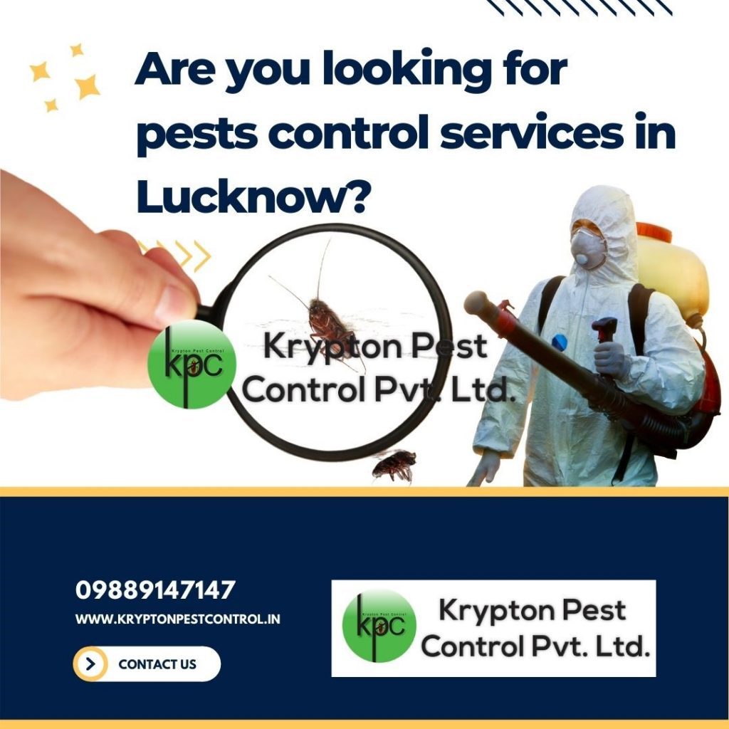 pest control services in Lucknow