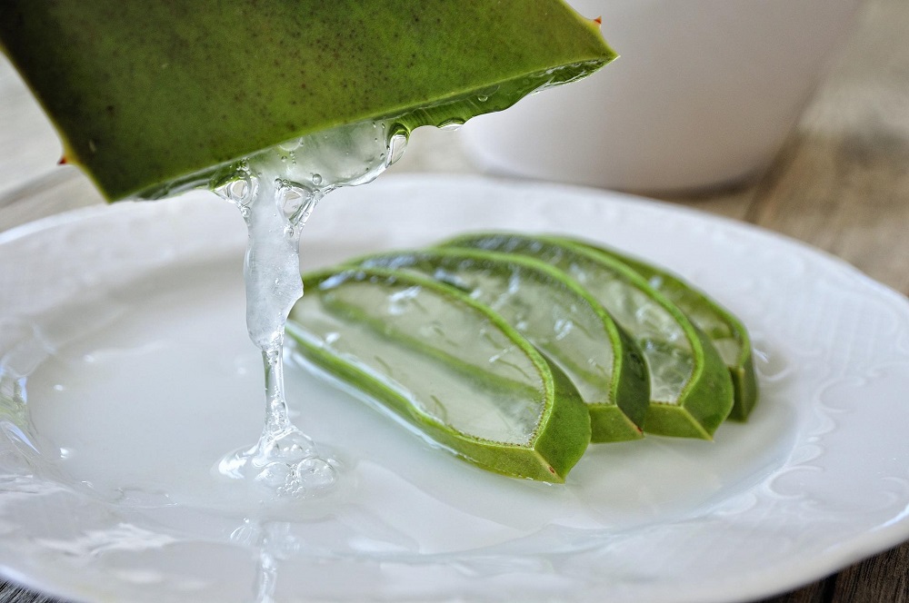 For Stomach Ulcers, Aloe Vera Juice is Beneficial