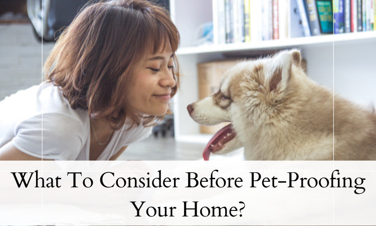 What To Consider Before Pet-Proofing Your Home?