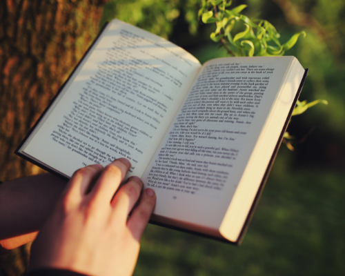 How Reading Books Helps Small Business Owners