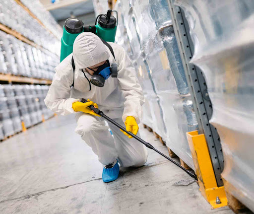 What are pest control services, and why should you use them?
