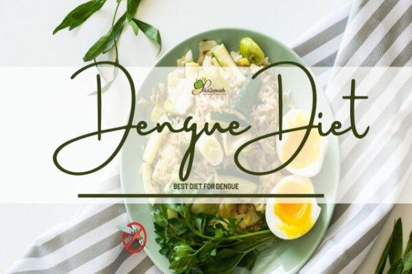 dengue diet