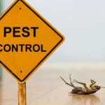 Pest Control Techniques In CT