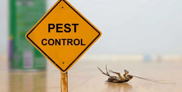 Pest Control Techniques In CT