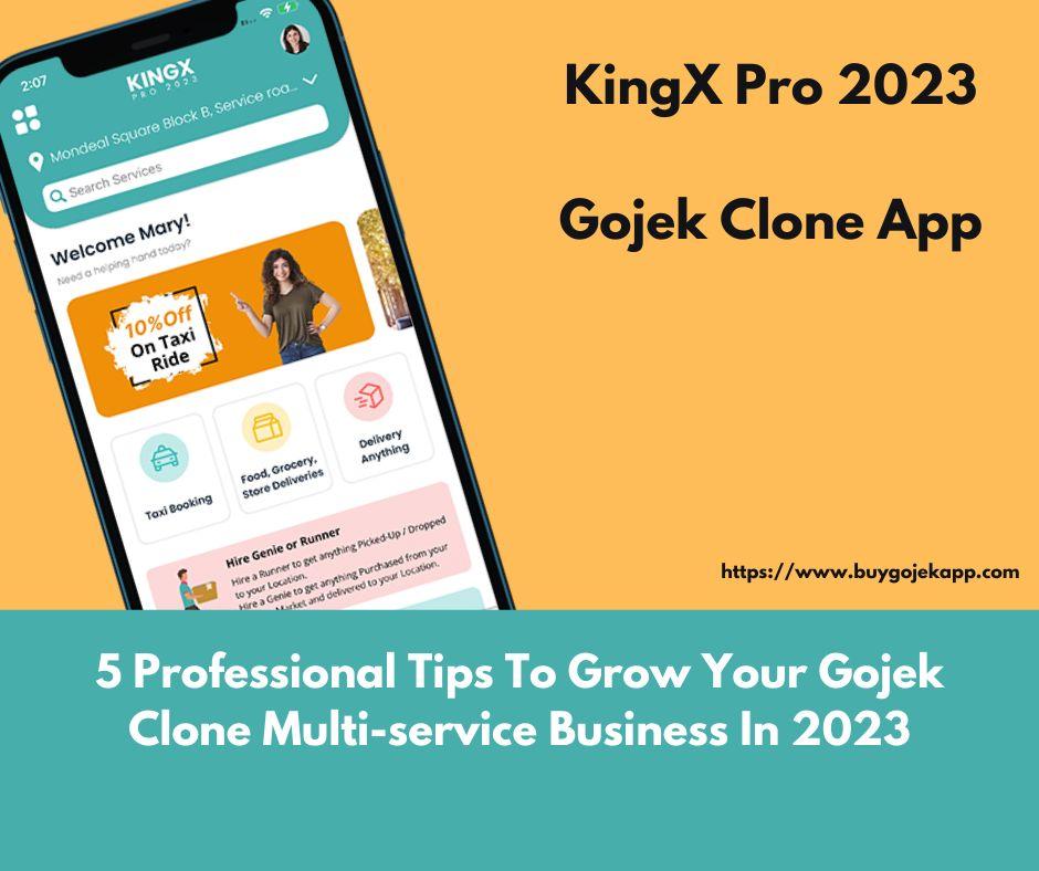 5 Professional Tips To Grow Your Gojek Clone Multi-service Business In 2023