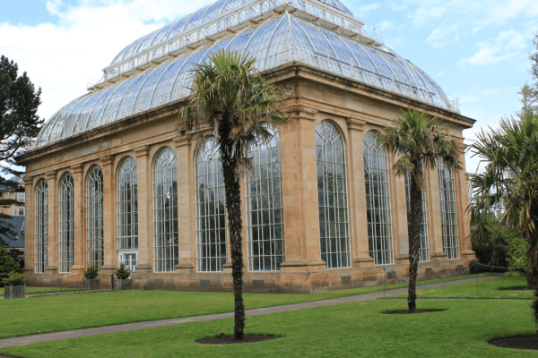 Nature's Oasis: Must-See Botanical Gardens in London
