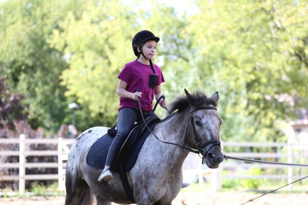 Horseback riding orange county