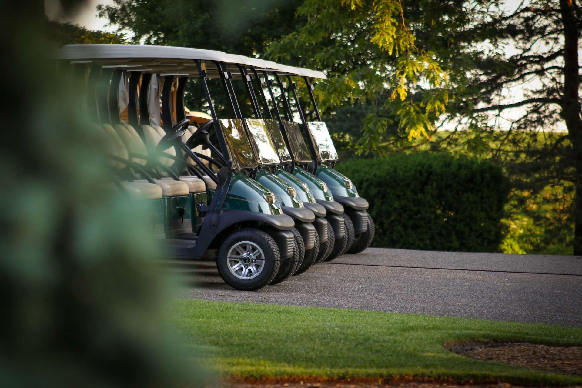 golf carts for rent