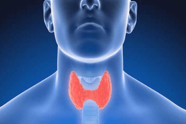 benefits-of-desiccated-thyroid-for-hypothyroidism
