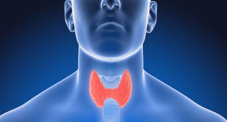 benefits-of-desiccated-thyroid-for-hypothyroidism