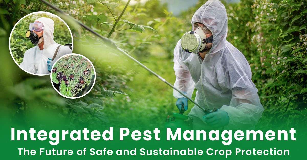 benefits-of-integrated-pest-management-by-crop-protection