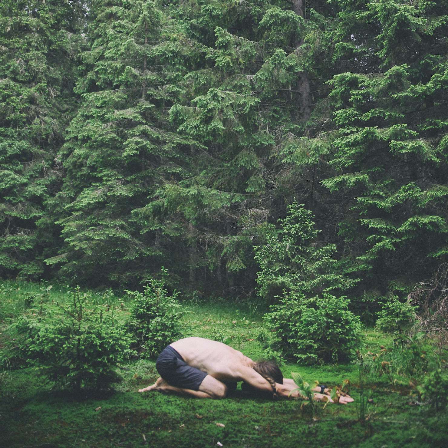 forest yoga retreats
