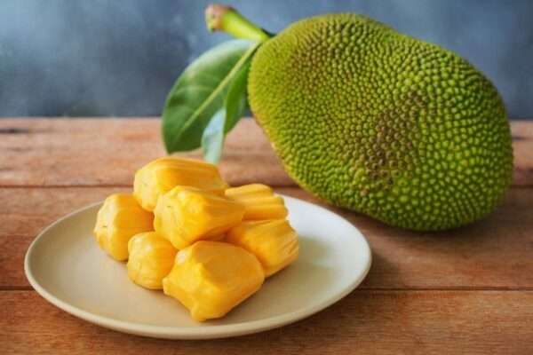 jackfruit in diabetes