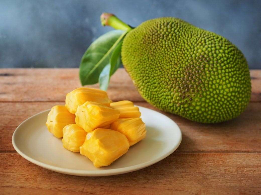 jackfruit in diabetes