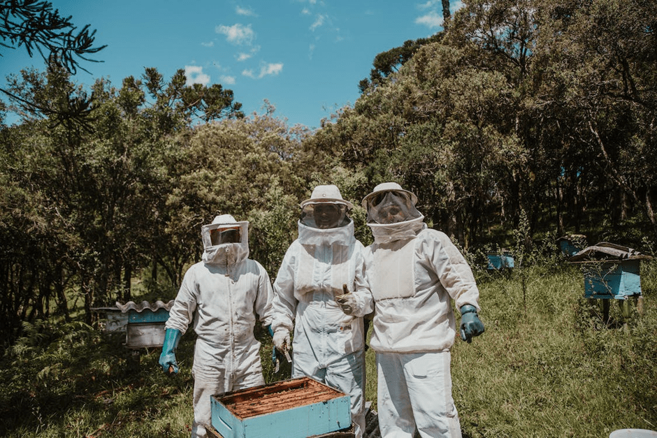 bee hive stand