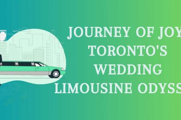 wedding limousine odyssey