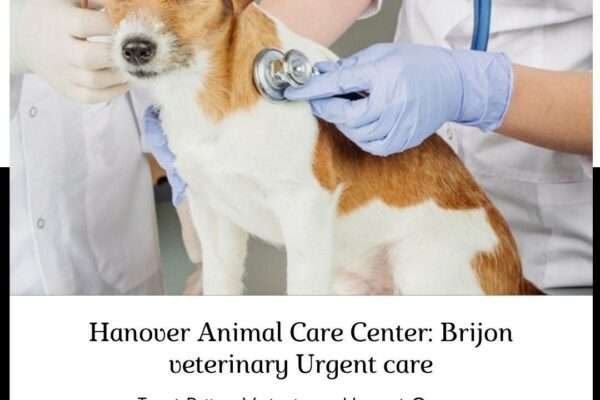 hanover animal care center